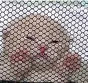 pain_3 pain_3