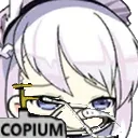 belfastcopium