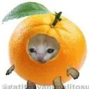 orange_kittyOwO Discord Emoji