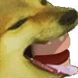 EatBorgar