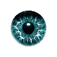 pulspin