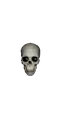 tinyskull