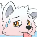 arctic_fox_hot