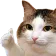 Catthumbs