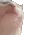 catJam