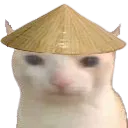 chinacat