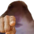 bruhpoint bruhpoint
