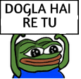 pe_dogla_hai_tu Discord emoji