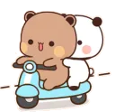 PDoublescooter