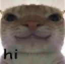 Hi