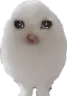 eggsadcat eggsadcat