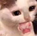 uuf