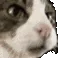 felixContentAwareBruh felixContentAwareBruh