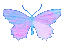 bluebutterflycoral
