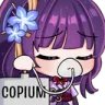 RaidenCopium