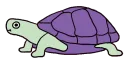 turtle turtle
