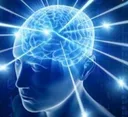 bigbrain