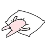 nipztired