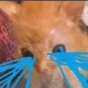 wheniwakeup
