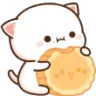 NightCatMooncake