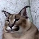 flopBREAD2 flopBREAD2