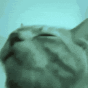 755973934830321704