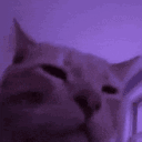 755973144543756398