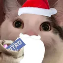 Cristmas_niter