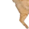 catjump3