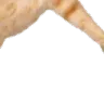 catjump4
