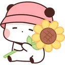 BSunflower