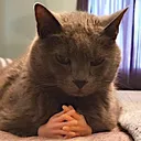 patient