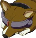 einHack Discord emoji