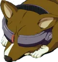 einHack