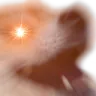 kekdogascended