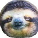 serioussloth