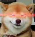 evildoge