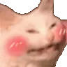 cattoblush cattoblush