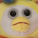 sadouioui sadouioui