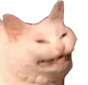 NoCatto Discord Emoji