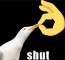 shut