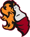 RIOTGaming