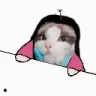 tzuwyboom