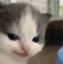 hehehe