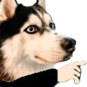 dd__1_of_1_3removebgpreview Discord Emoji