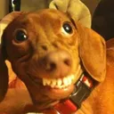 heh_what Discord Emoji