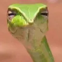 Kindasus kindasus Discord Emoji