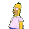 HomerHide