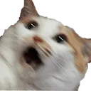KHA