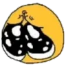 854407720618164246